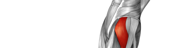 leg2