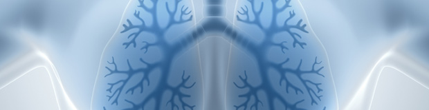 lungs