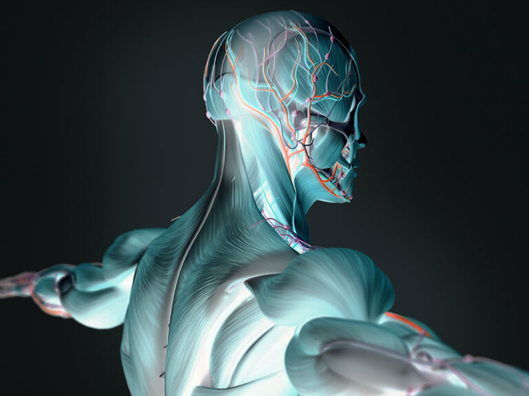 head and neck