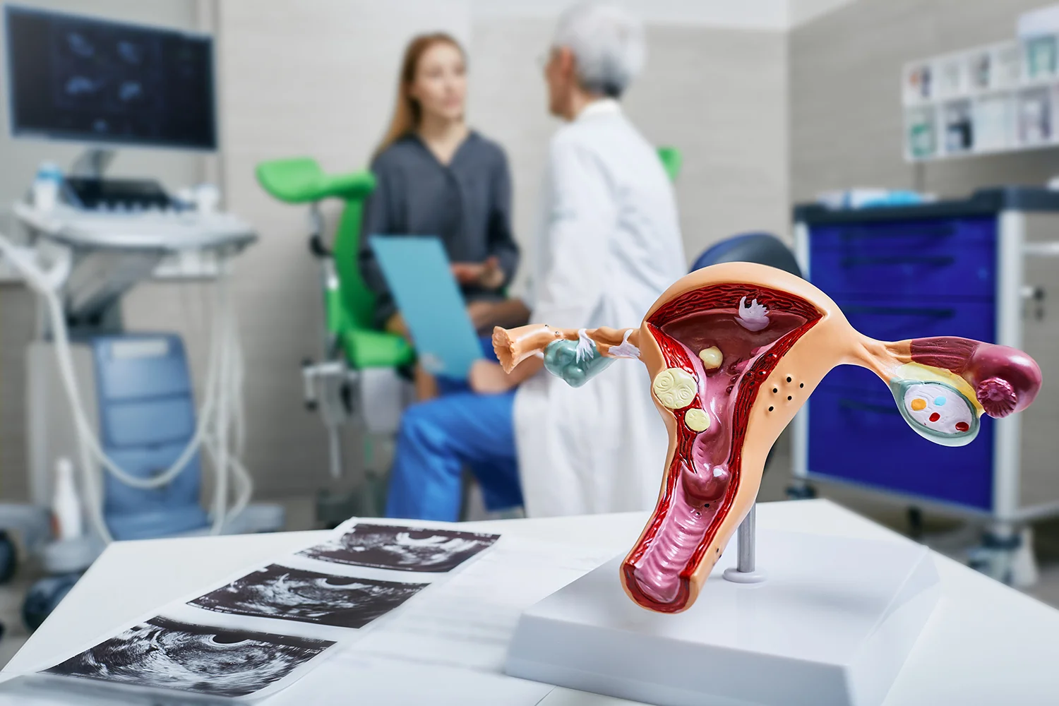 examining uterus model in doctor s office