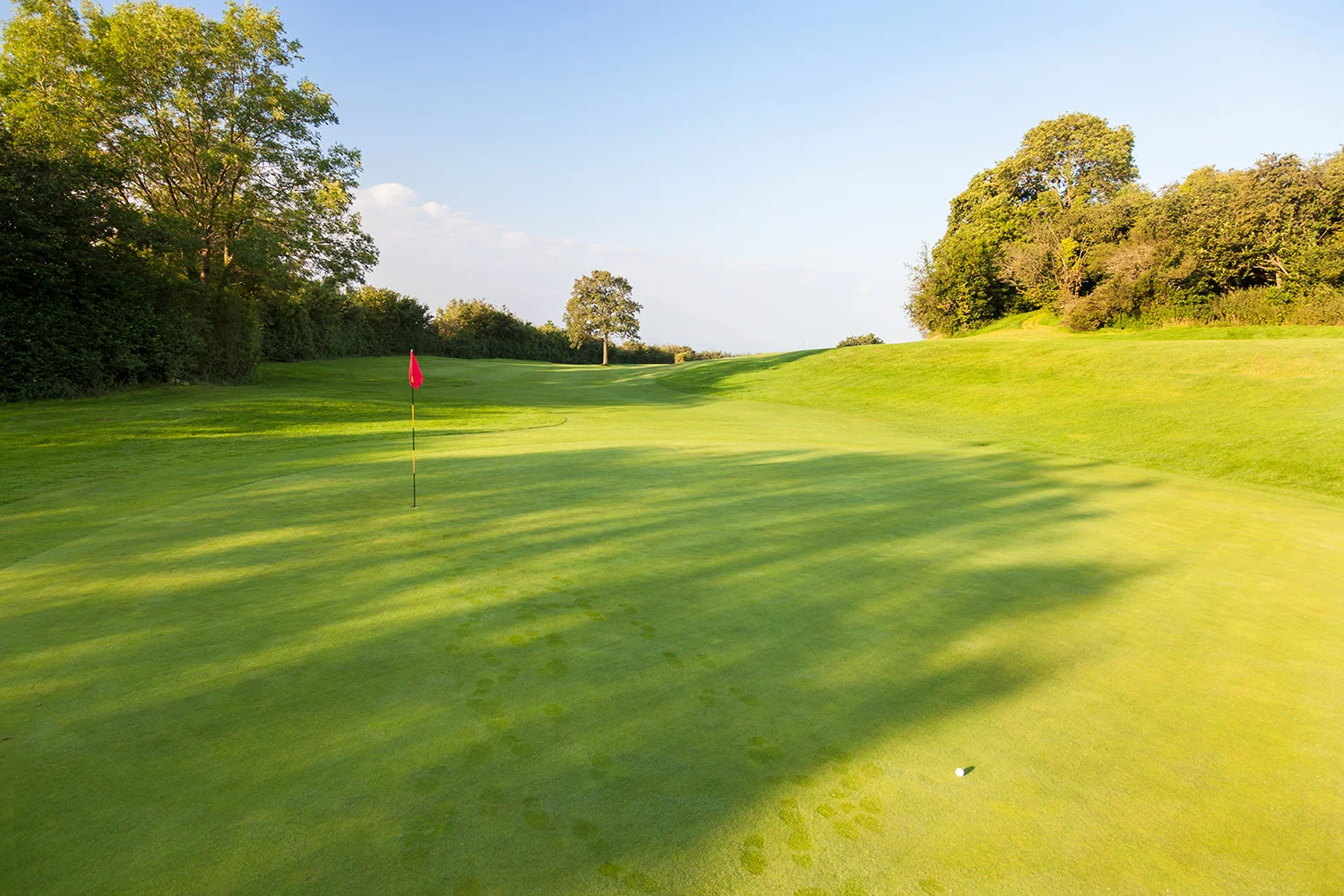 putting green and ball on golf